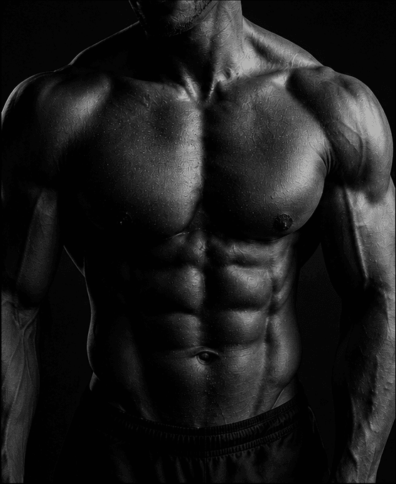 Physiology — Bodysharp coaching pillar